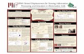 Abstract Overview In Vivo RNA Production2012.igem.org/files/poster/MIT_Championship.pdf · Our project focused on the feasibility of RNA strand displacement circuits for sensing,