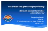 Lower Basin Drought Contingency Planning ... - Arizona Forward · • Driving factor was sustained drought and substantially decreased water levels in Lake Powell. • Believed –