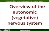 Overview of the autonomic (vegetative) nervous system ...anatom.ua/wp-content/uploads/PNS- · Overview of the autonomic (vegetative) nervous system . 31 It should be emphasized that
