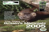 Britain’s Mammals · l Pine martens. The pine marten is Britain’s second rarest carnivore, and yet it is listed under the current UK BAP only as a Species of Conservation Concern.