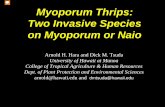 Myoporum Thrips: Two Invasive Species on Myoporum or Naio ... · Myoporum Thrips: Two Invasive Species . on Myoporum or Naio. Pest Management instead of Pest Control as Control implies