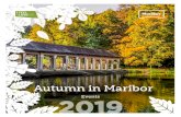 Autumn in Maribor 2019-09-12آ  MORE EVENTS IN MARIBOR AND ADDITIONAL INFORMATION: TIC MARIBOR Partizanska