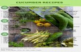 Cucumber Recipes - Pennsylvania Farm Link · 2. Add sliced cucumber and onion. The vegetable s should be submerged by the brine . 3. C over and pl ace the jar in the refrigerator