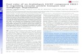 Dual roles of an Arabidopsis ESCRT component FREE1 ... Dual roles of an Arabidopsis ESCRT component