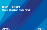 IGP OSPF · • BGP (Border Gateway Protocol) – Carries customer prefixes – Exchanges network info with other networks ... Junos: set protocols ospf/3 area  interface