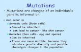 Mutations · 2020-05-06 · All point mutations are a results of SUBSTITUTION( one nucleotide replaces another)!!!!-Silent mutations: have no effect on the amino acid produced.-Missense