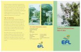 Trees & Powerlines Don’t Mix - Energy Fiji Ltdefl.com.fj/wp-content/uploads/2019/06/Trees-Powerlines.pdf · Take note of all trees growing around your home and see whether they