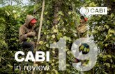 CABI€¦ · Fighting the scourge of Himalayan balsam with cutting-edge protein ‘fingerprinting’ technology 26 Governance 29 CABI staff 31 Staff publications 32 Links to open