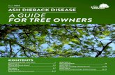 June 2020 ASH DIEBACK DISEASE A GUIDE FOR TREE OWNERS · ancient and mature trees, and ash trees outside woodlands, appear to be able to live for many years with the disease. However,