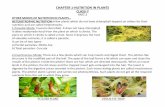 CHAPTER 1-NUTRITION IN PLANTS CLASS-7 PART-3 OTHER …€¦ · CHAPTER 1-NUTRITION IN PLANTS CLASS-7 PART-3 OTHER MODES OF NUTRITION IN PLANTS--HETEROTROPHIC NUTRITION-A few plants
