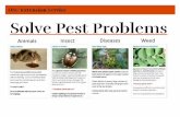 Animals Insect Diseases Weed s - OregonThe purpose of Solve Pest Problems is to reduce the impacts of pests and pest management practices on people and the environment in non-agricultural
