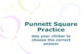 Punnett Square Practice · Punnett Square Practice Use your clicker to choose the correct answer . Dominant vs. Recessive ... from the punnett square. Question 4 ? R r R R A)RR B)Rr