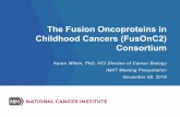 The Fusion Oncoproteins in Childhood Cancers (FusOnC2 ... · NCI Cancer Moonshot. SM. Blue Ribbon Panel Recommendations. A. Establish a network for . direct patient involvement. B.