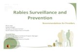 Rabies Surveillance and Prevention Providers · Rabies Virus Pathogenesis • The key to preventing rabies is to neutralize the virus before it enters the central nervous system •