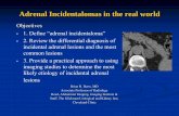 Adrenal Incidentalomas in the real world - Scbtmr · Adrenal Incidentalomas in the real world Brian R. Herts, MD Associate Professor of Radiology Head, Abdominal Imaging, Imaging