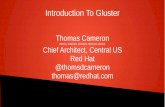 RHCA, RHCSS, RHCDS, RHCVA, RHCX Chief Architect, Central US … · 2015-03-01 · What is Gluster? GlusterFS supports standard clients running standard applications over any standard