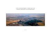 THE INVESTMENT PROFILE OF RUSE-GIURGIU EUROREGION · THE INVESTMENT PROFILE OF . RUSE-GIURGIU EUROREGION . 2012 . 1. Foreword . Dear Readers, I have the honour, on behalf of over