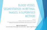 BLOOD VESSEL SEGMENTATION IN RETINAL IMAGES: A …projects.i-ctm.eu/sites/default/files/PDF/586_Andrea Migliorati/Blood... · BLOOD VESSEL SEGMENTATION IN RETINAL IMAGES: A SUPERVISED