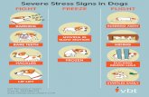 Severe Stress Signs in Dogs FIGHT BARKING BARE TEETH ...€¦ · SLOW MOTION FROZEN FLIGHT RUNNING AWAY HIDING DUCKING BEHIND LEGS STARTLES EASILY vbt vet behaviour team . Created