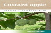 Custard apple - Horticulture Innovation Australia...yAbility to improve market share/consumption y Reduce waste through prior use of second grade fruit for value-added products y Capitalise