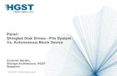 Panel: Shingled Disk Drives File System Vs. Autonomous ... Technologies (MSST) The 30th IEEE International