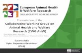 Presentation of the Collaborating Working Group on Animal … · 2018-09-19 · Presentation of the Collaborating Working Group on Animal Health and Welfare Research (CWG AHW) Susana