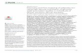 using high density imputation of genome- African ancestry: … · 2017-06-10 · RESEARCH ARTICLE Discovery and fine-mapping of adiposity loci using high density imputation of genome-wide