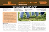 Field Crops · • Cover crops on average can reduce nitrogen loading by 28% and phosphorus loading by 50%. • When this project began farmers were concerned that a winter rye cover