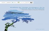 Análisis de riesgo ecológico de la cuenca del río Paraguayd3nehc6yl9qzo4.cloudfront.net/downloads/30jan12... · Figura 1. Ubicación de la cuenca del río Paraguay en Sudamérica.