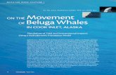 O H oveent O Beluga hales I OO I NLET L A SK Atezer/PAPERS/2008_Oceanography_Belugas.pdf · of beluga whales, from over 1000 individ-uals in the 1970s to some 300–400 today (Hobbs