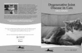 Degenerative Joint Disease in Cats · 2017-10-10 · Felinearthritis,morecorrectlytermeddegenerativejointdisease(DJD), isverycommonincats.Cartilagewithinthejointiswornaway,causing