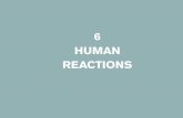 6 HUMAN REACTIONS - Barrett Values Centre€¦ · to maintain a behaviour pattern that feels empty, or complete a task that feels questionable. Emotions take over and are sometimes