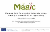 Marginal land for growing industrial crops: Turning a ... · CIEMAT, INRA, UHOH, SILAVA, IBC Large-scale field trials on top 15 industrial ... • Large-scale trials (500-2000 m2