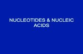 NUCLEOTIDES & NUCLEIC ACIDS · Nucleic Acids • There are two types of nucleic acids: - deoxyribonucleic acid (DNA) and ribonucleic acid (RNA) • These are polymers consisting of