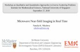 Microwave Near-field Imaging in Real Timeims.nus.edu.sg/events/2018/theo/files/natalia.pdf · co-pol cross-pol #1 #2 OUT. holography. refers to reconstruction methods that use both
