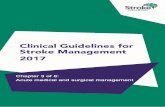 (Australian) Clinical Guidelines for Stroke Management€¦ · 11/07/2019  · Surgery for ischaemic stroke and management of cerebral oedema ... Acute medical and surgical management