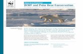 Global Arctic Programme WWF and Polar Bear Conservation · the Wrangel Island Nature Reserve, known as the “polar bear nursery” for its high concentration of polar bear maternity