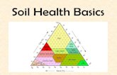 Soil Health Basics - Missouri Soil and Water · Soil Health Terms •Aggregate Stability –The ability of soil aggregates to resist degradation. An aggregate is many soil particles