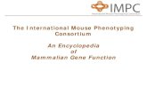 The International Mouse Phenotyping Consortium · ECG / Echo Intraperitoneal Glucose Tolerance Test Auditory Brain Stem Response Body Composition (lean/fat) ray (5 + 5) X-Slit Lamp