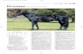 Denman - Stallion · Sire of G1 sprinters and his best so far is multiple G2-winning Hong Kong sprinter Hot King Prawn. $ $8,800INC GST Find out more:contact Olly Tait Office +61