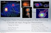 Magnetic Field Morphologies in Star Forming Clouds at mpc ... · Ho, Paul T. P. Academia Sinica, Institute of Astronomy and Astrophysics, Taiwan Dutrey, Anne (LAB) Girart, Josep M.
