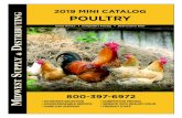 2019 MINI CATALOG · #780113 - Purple #780114 - Yellow #15247-666 Screw-On: Gallon Jars #23795-680 Nesting #7506 - Complete Gallon Poultry Screw-On Waterer (base & jar) Restraining