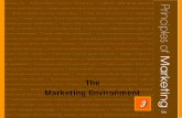 The Marketing Environmentdeltauniv.edu.eg/new/Businessadministration/wp-content/... · 2018-07-19 · Value marketing . involves ways to offer financially cautious buyers greater