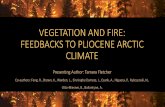 VEGETATION AND FIRE: FEEDBACKS TO PLIOCENE ARCTIC …...•Philip Higuera & Ashley Ballantyne (University of Montana) •Natalia Rybczynski (Canadian Museum of Nature) • PoLAR-FIT