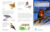 Garden bird checklist - WWT€¦ · Checklist of Garden birds Wildfowl & Wetlands Trust registered charity in England & Wales, no. 1030884 and Scotland, no. SC039410 Cover image by
