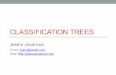 CLASSIFICATION TREES - University of Belgradeai.fon.bg.ac.rs/.../Decision-classification-trees.pdf · The main idea behind classification trees • Divide the predictor space into