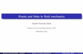 Knots and links in fluid mechanics - UAB Barcelona · [\Knots and links in steady solutions of the Euler equation", arXiv:1003.3122 (Ann. of Math., in press)] Daniel Peralta-Salas