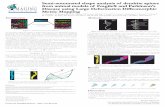 Semi-automated shape analysis of dendrite spines from ...mhurdal/posters/sfn05poster.pdf · spine shapes? Template (I0) Target (I1) gt Figure 2: Generating diffeomorphisms between