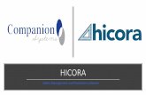 HICORA - Companion Systems | SOFTWARE FOR NEW HOME …€¦ · Sub contractors and suppliers $12.00 ex GST per month. Builders $ 1.50 per month ex GST for each connection after 5