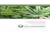1 | P a g ejatrorenewables.solutions/JatroCBD-Summary-Business-Plan...1 | P a g e “Experts predict that the CBD oil market will have a compound annual growth rate of 90% through